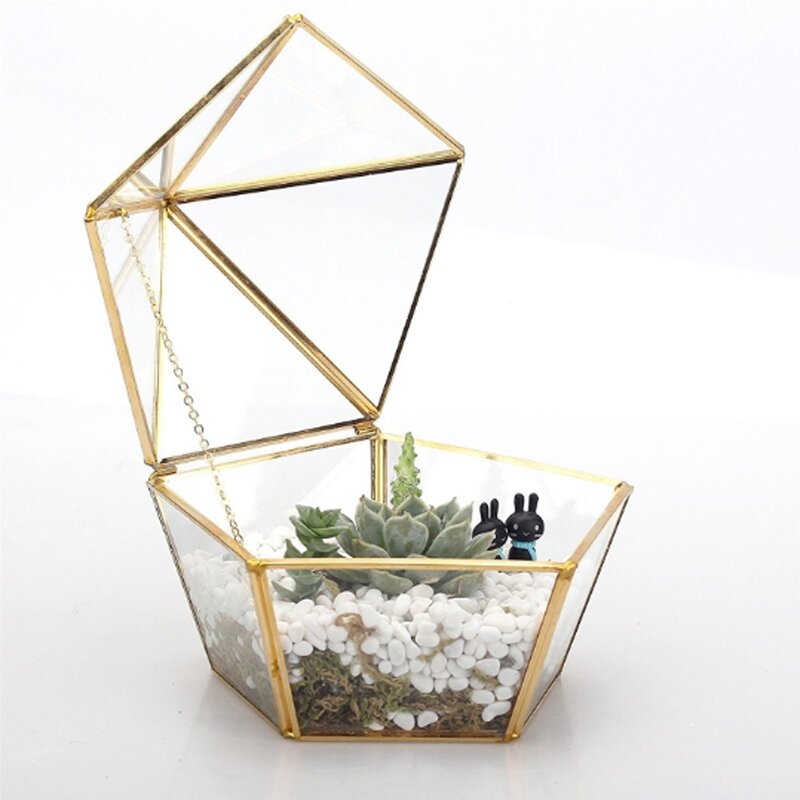 Glass Terrarium Jewelry Decorative Box - Image 2