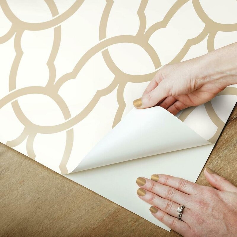 Minden 16.5' L x 20.5" W Trellis Peel and Stick Wallpaper Roll - Image 1