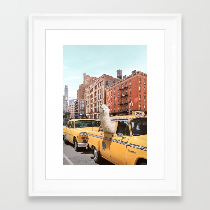 Alpaca in New York Framed Art Print by Paul Fuentes Photo - Image 0
