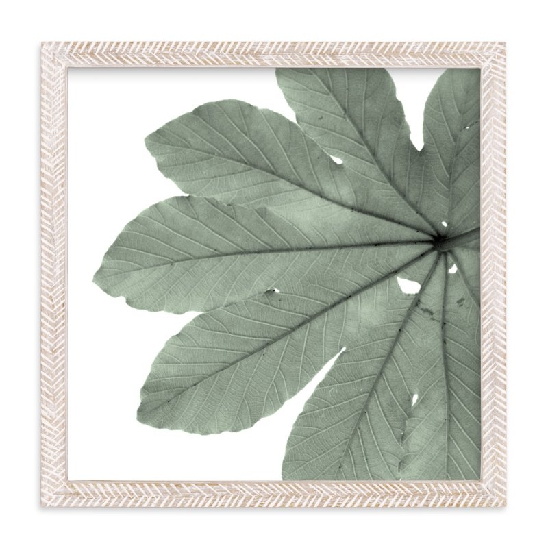 Leaf in Green, 11"x11", Whitewashed Herringbone Frame - Image 0