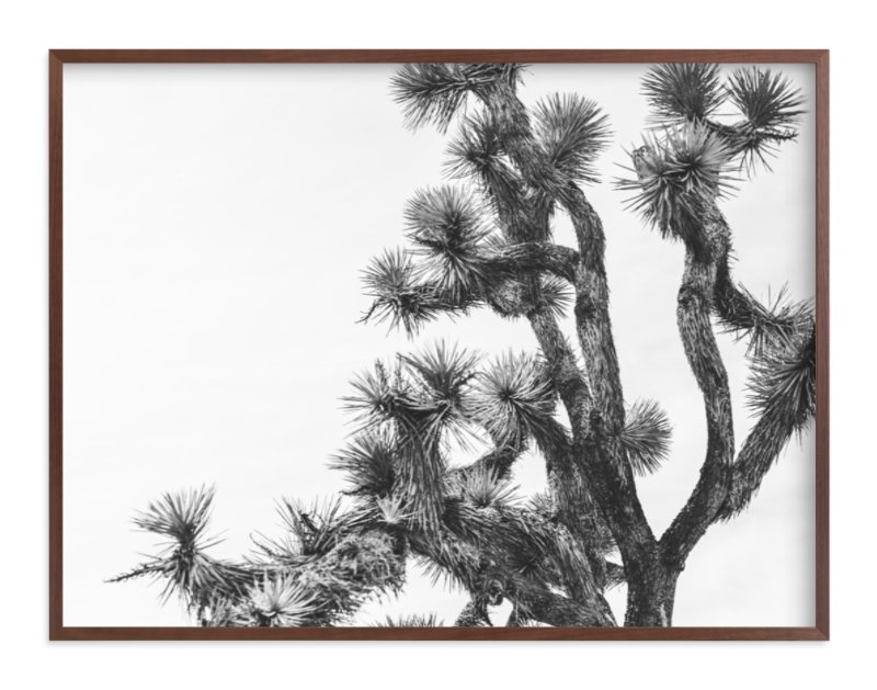 Joshua Tree - 40" x 30", walnut frame - Image 0