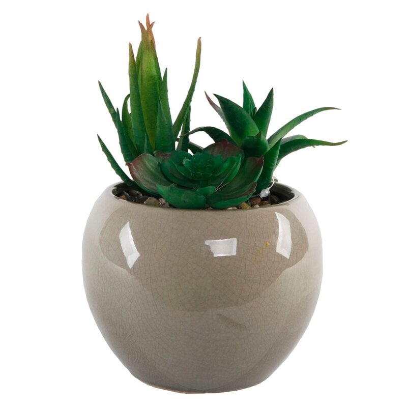 Desktop Faux Succulent Plant in Pot - Image 0