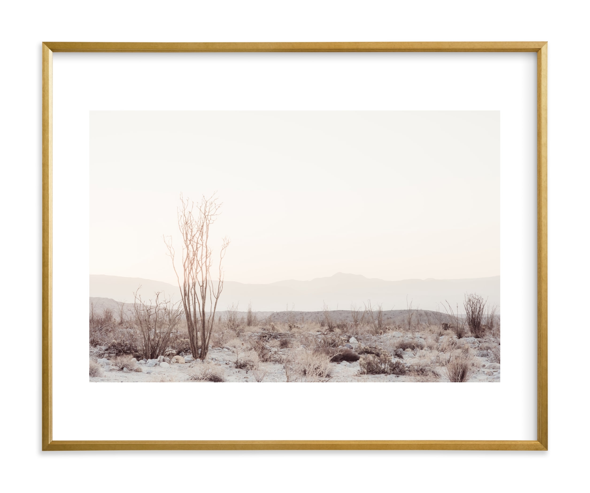 ocotillo ii 40 x 30 matted with Gilded Wood Frame_WHITE BORDER - Image 0