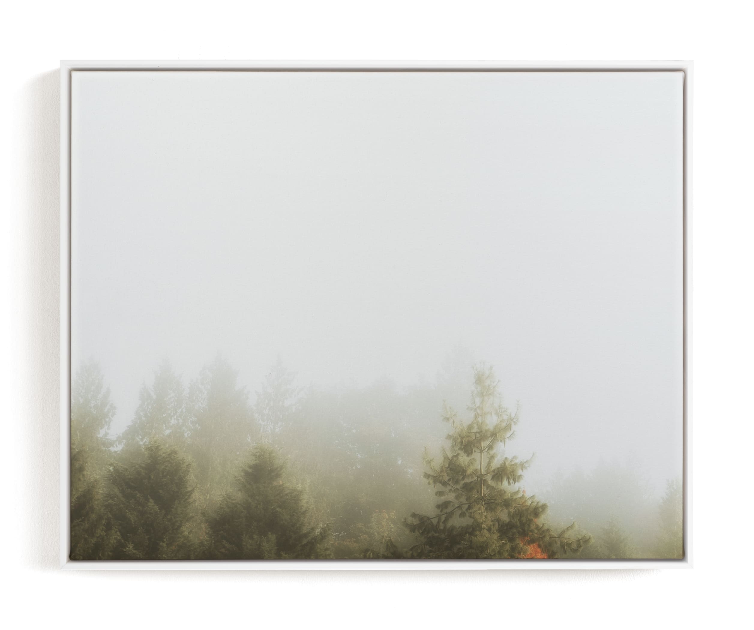 Foggy Autumn Forest Morning Limited Edition Art Print - Image 0