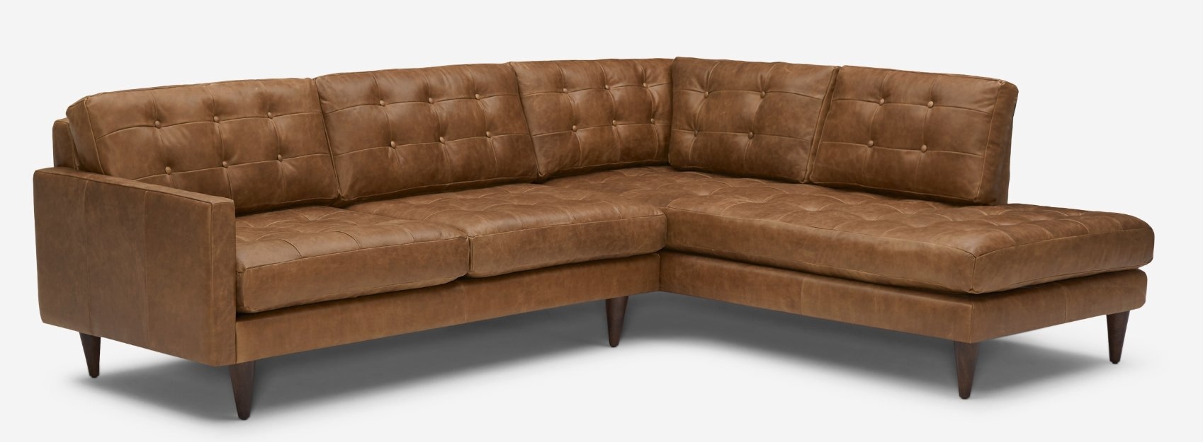 Eliot Leather Sectional with Bumper - Right Arm Orientation - in Santiago Ale with Mocha Wood Stain - Image 0