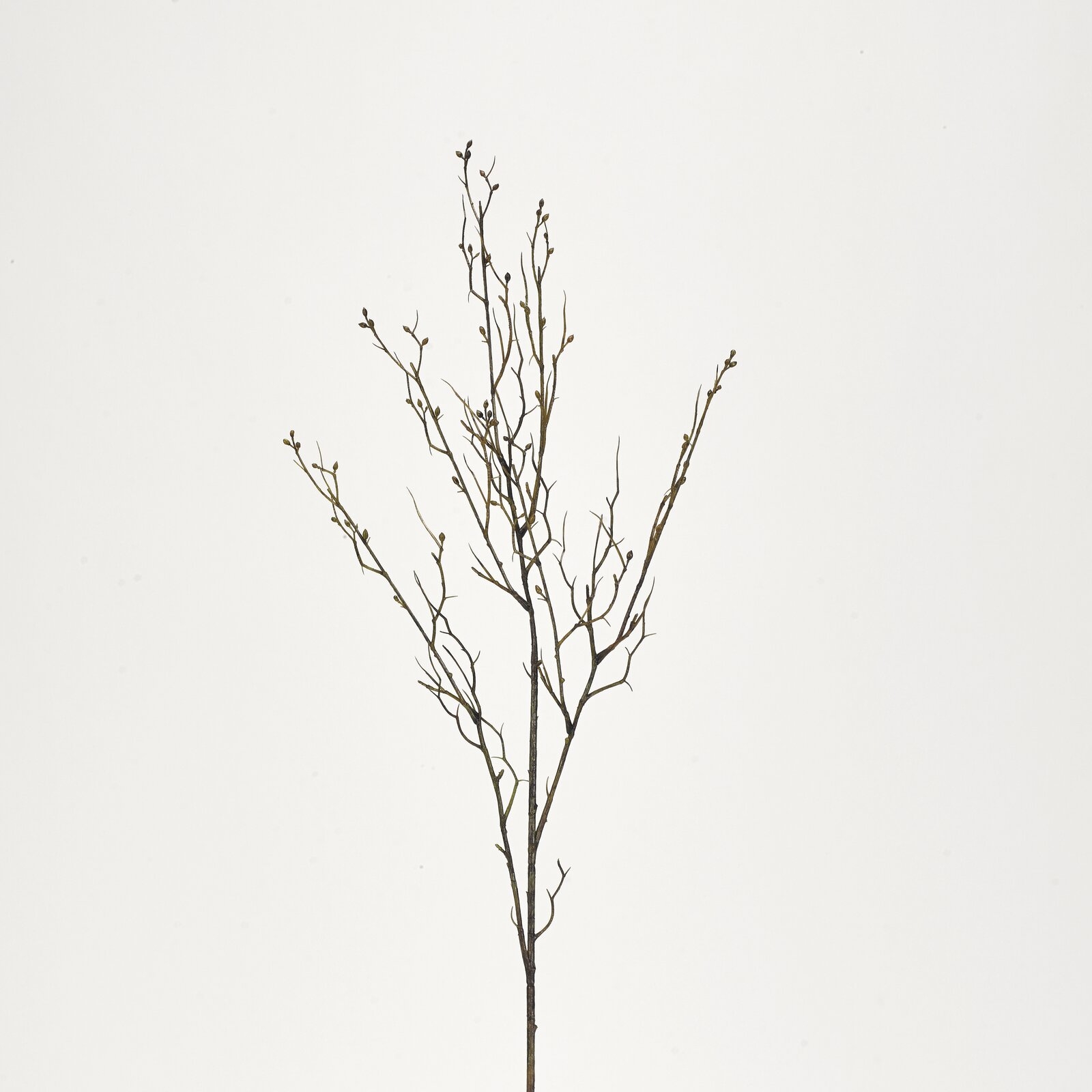 Deadwood Branch, 38" - Image 0