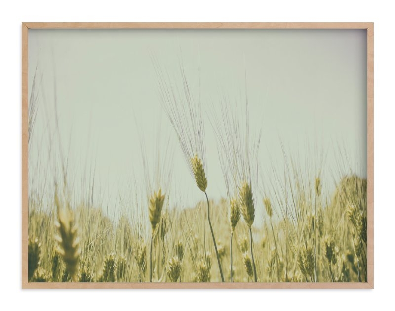 Golden Grass - 40x30 - Natural Raw Wood Frame - Image 1