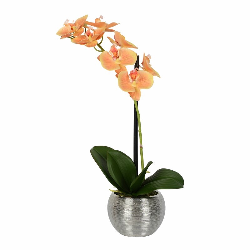 Artificial Phalaenopsis Orchid Floral Arrangement in Pot - Image 0