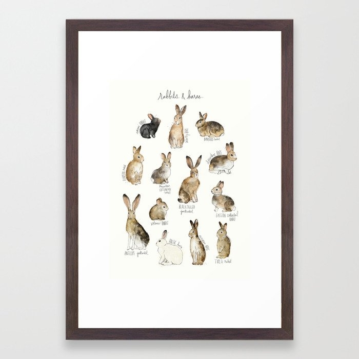 Rabbits & Hares Framed Art Print - Small 15"x21" - Conservation Walnut - Image 0