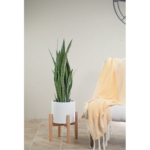 Bratcher Ceramic Pot Planter with Plant Stand- white - Image 1