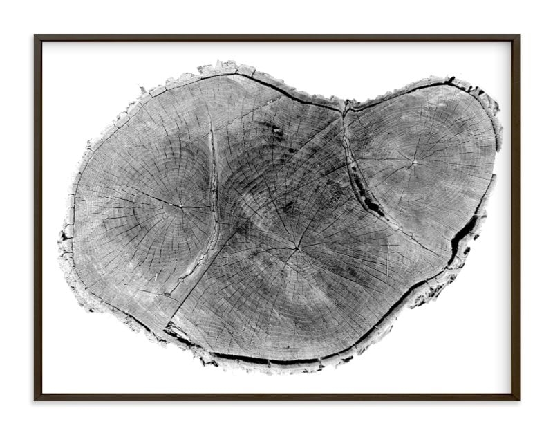 Tree rings pt. 1 - 40" x 30" - Matte Black Metal Frame - Image 0