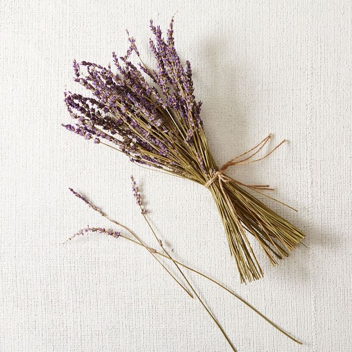 Dried Lavender Stem Bunch - Image 0