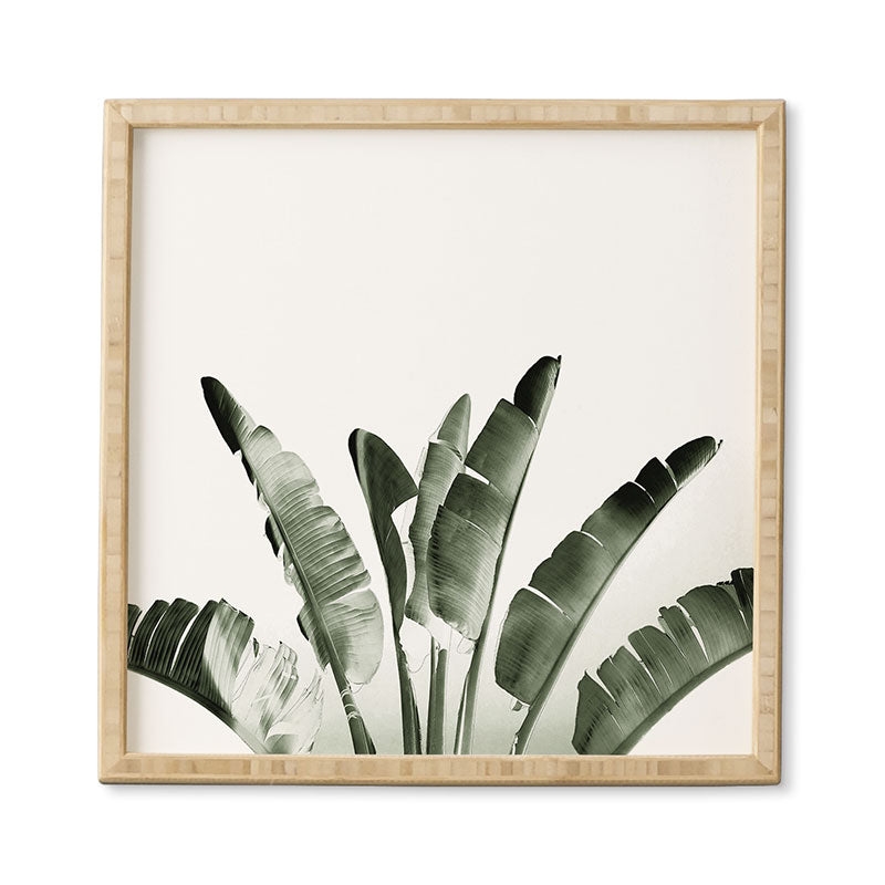 Traveler Palm by Gale Switzer - Framed Wall Art Bamboo 12" x 12" - Image 0