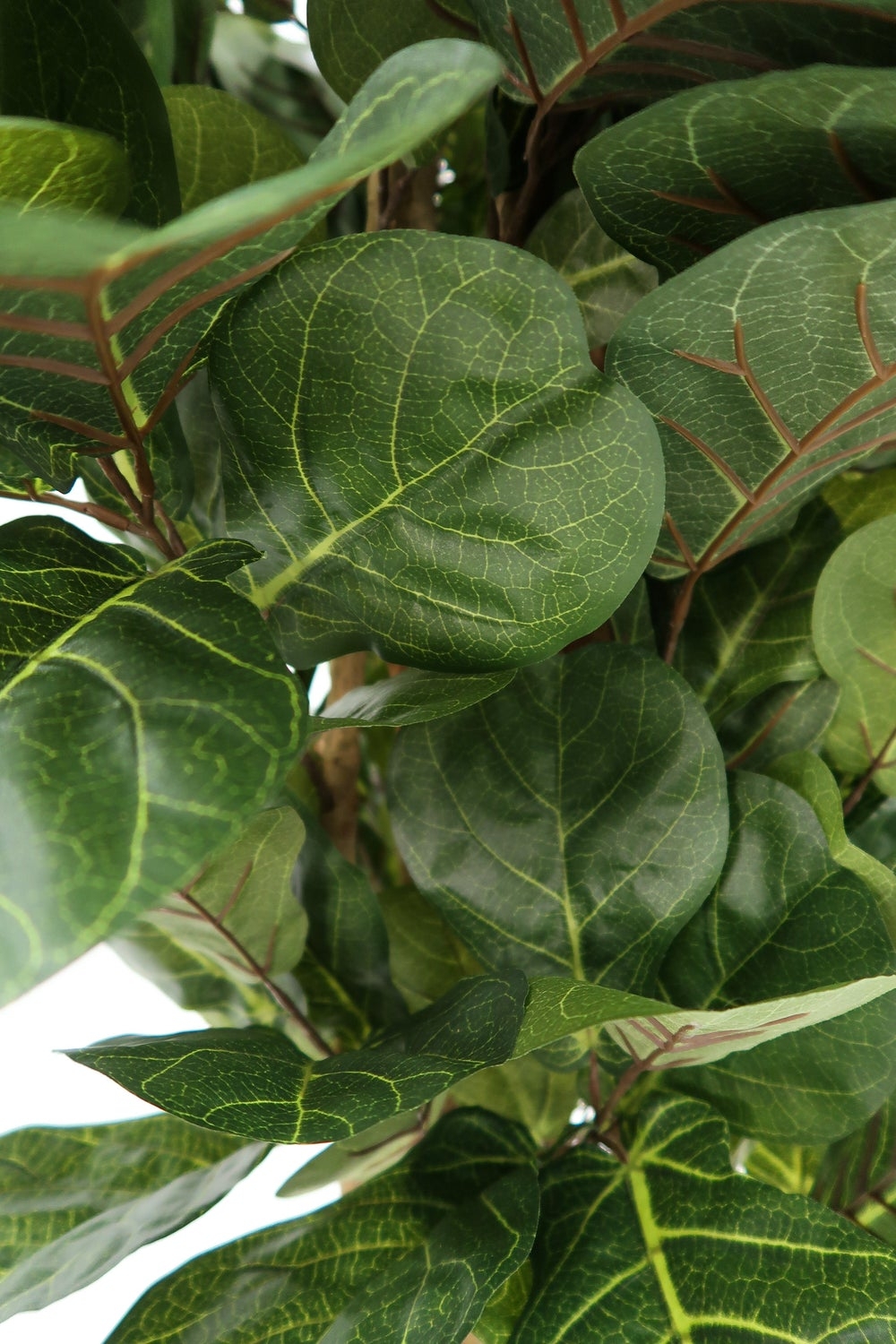 Faux Fiddle Leaf Fig Tree, 72" - Image 3