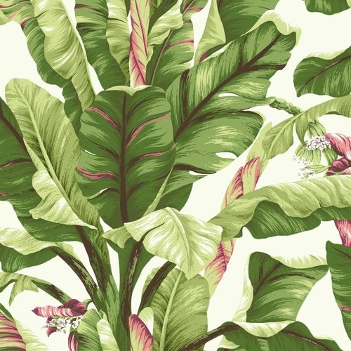 Ashford Tropics 27' x 27" Banana Leaf Wallpaper Roll - Image 0