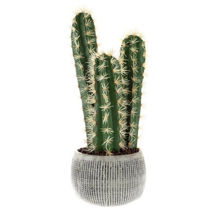 Primrue 22-Inch Artificial Cactus Plant - Image 0