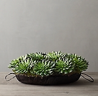 FAUX SUCCULENT PLANT FOR WEATHERED STONE ROUND BOWL - LARGE - Image 0