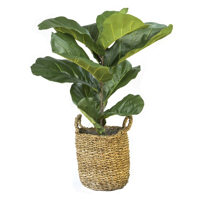 36" Artificial Fiddle Leaf Fig Plant in Basket - Image 0