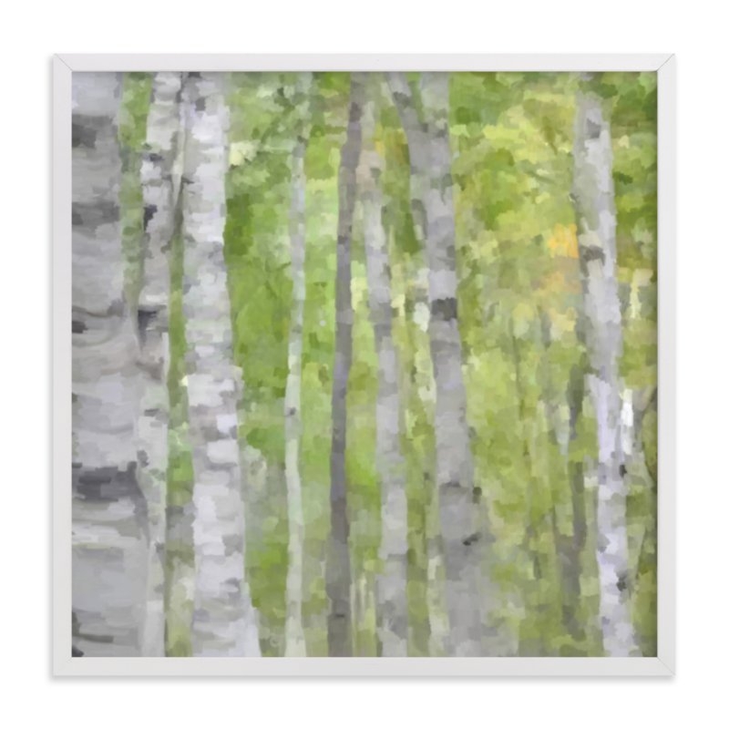 Summer Birches  - 16" x 16" - White Wood Frame - Image 0