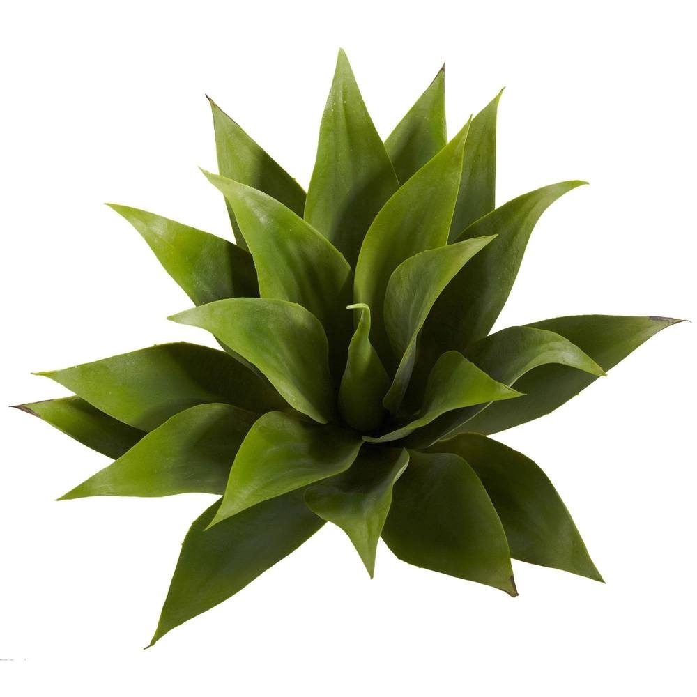 17” Agave Succulent Plant (Set of 2) - Image 2