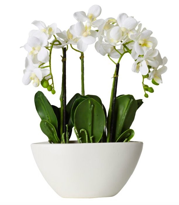 Orchid Centerpiece in Pot - Image 0