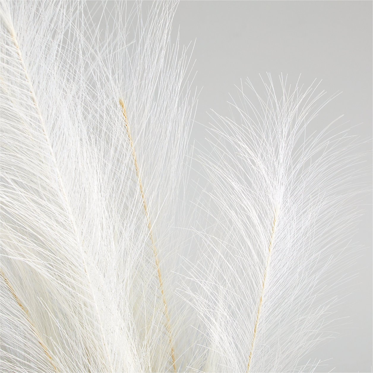 Faux Ivory Pampas Grass Bunch 45" - Image 2
