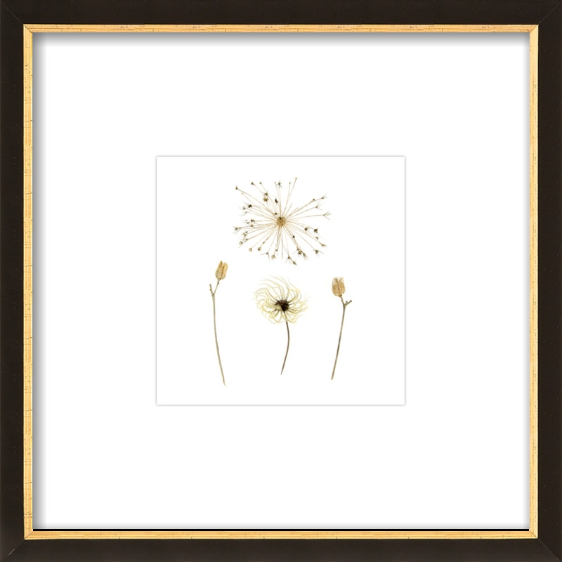 Clematis, Allium, and Daylily  BY JENNIFER STEEN BOOHER - Image 0