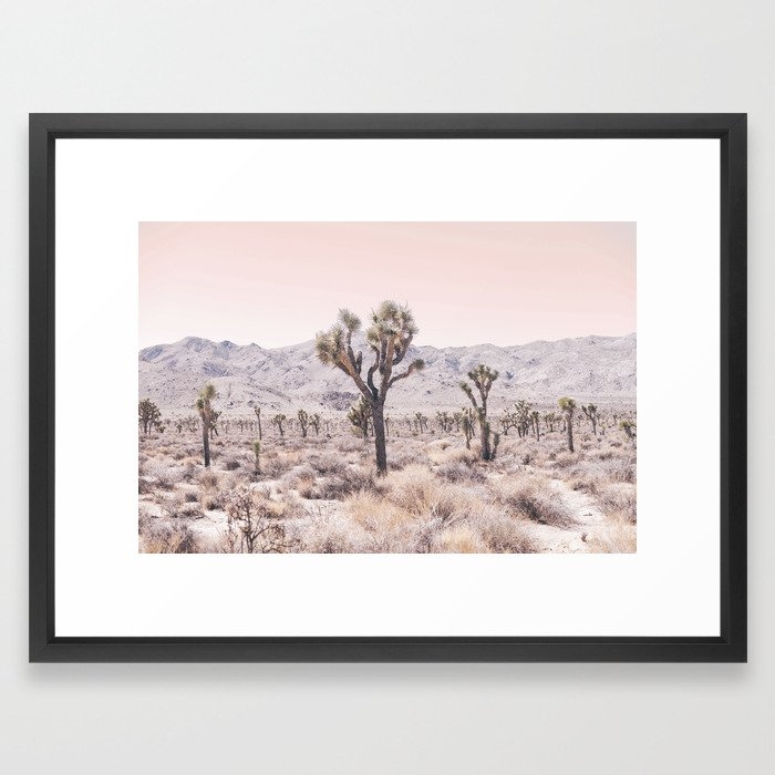 Joshua Tree Framed Art Print - Image 0