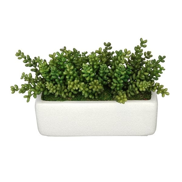 House of Silk Flowers Inc. Artificial Sedum Plant in Planter in White - Image 0