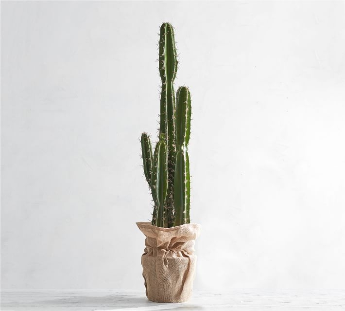 Faux Potted Saguaro Cactus - Extra Large - Image 0