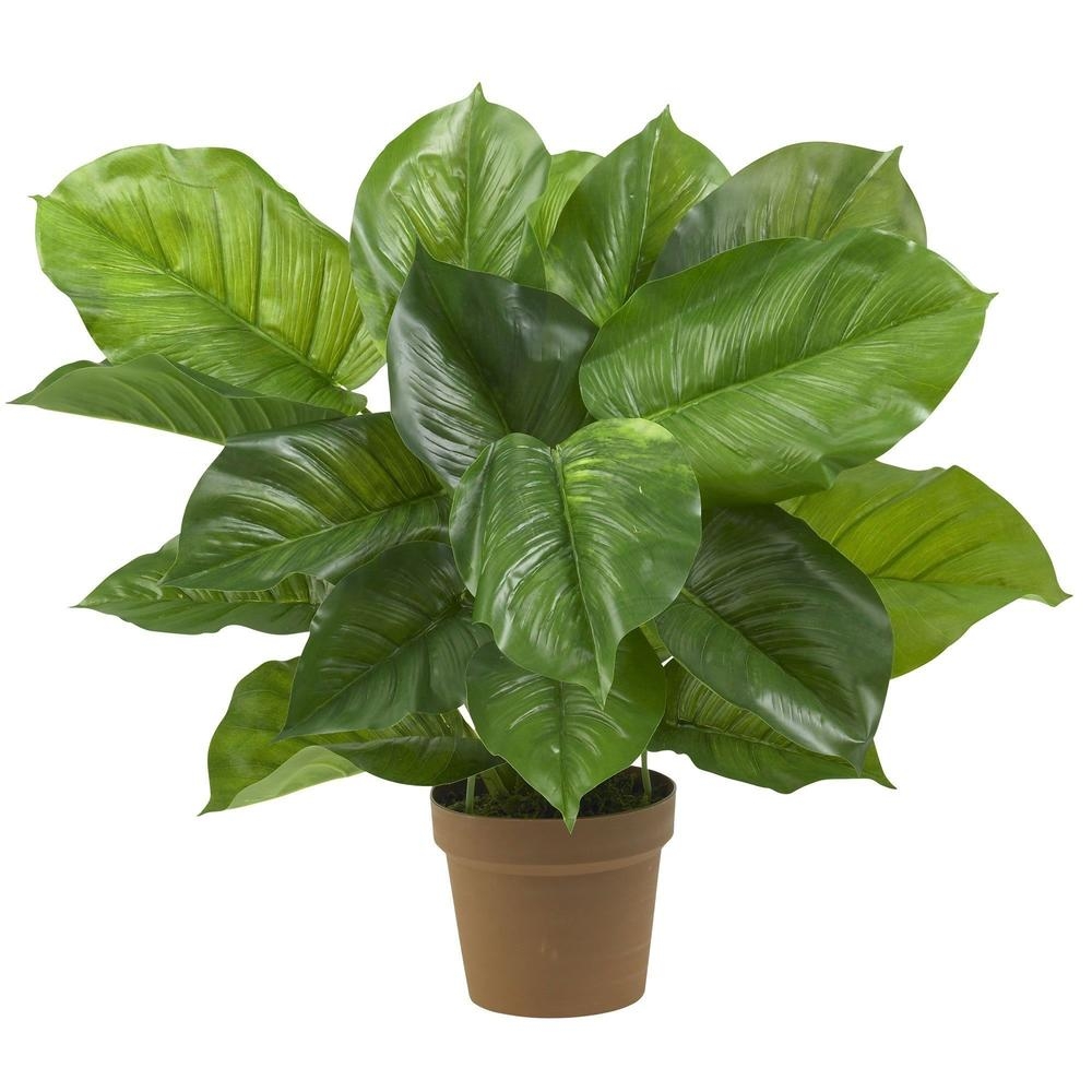 Large Leaf Philodendron Silk Plant (Real Touch) - Image 0