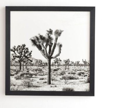 JOSHUA TREES  Basic Black Frame, 12" x12", - Image 0