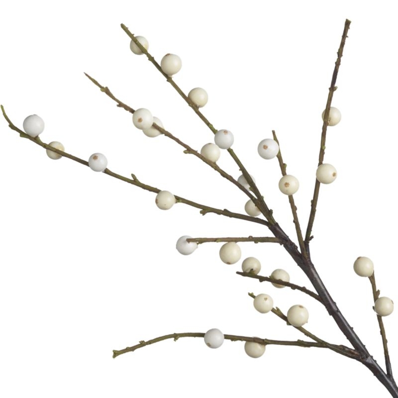 Ilex White Berry Stem Branch - Image 1