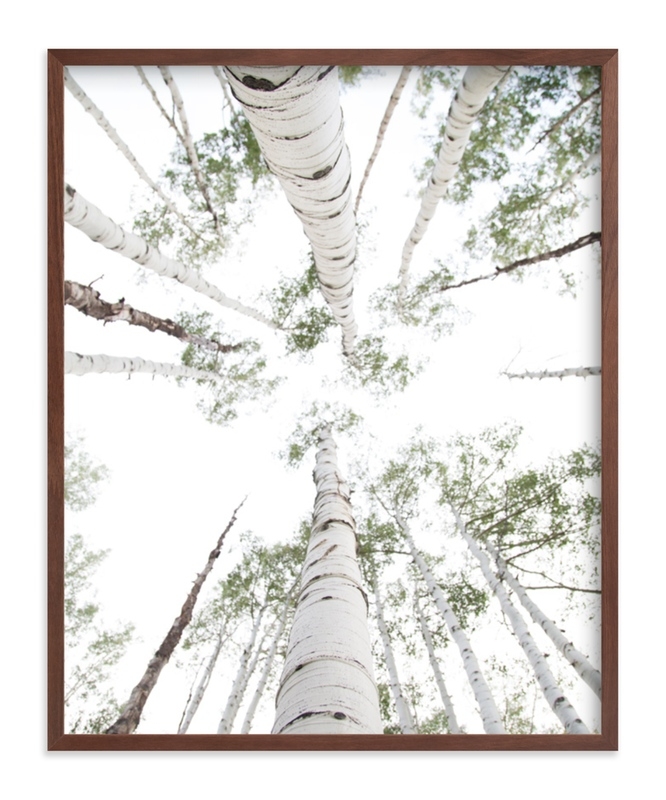 aspens at altitude, 16"x20", walnut frame - Image 0