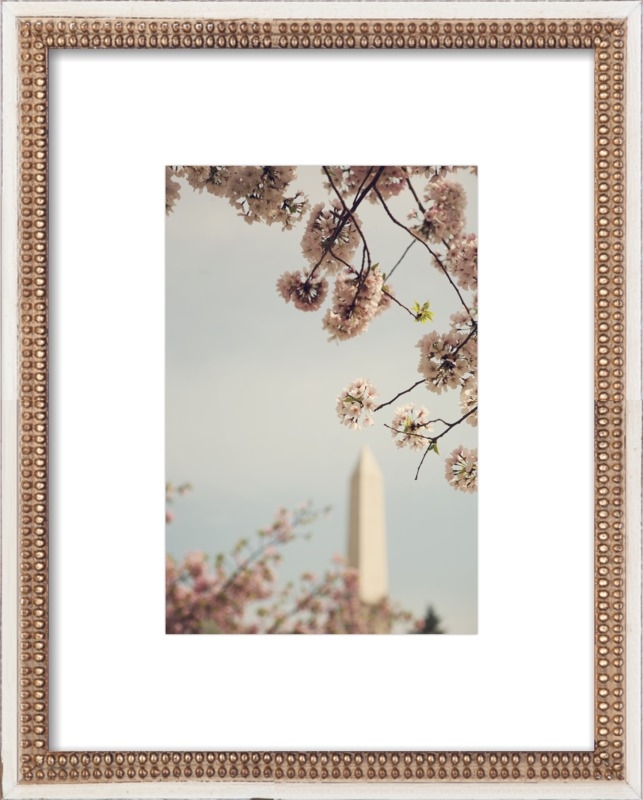 Spring in D.C. - 16x20" - Distressed Cream Double Bead Wood Frame with Matte - Image 0