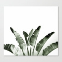 Traveler palm - Canvas, 26 x 24 - Image 0