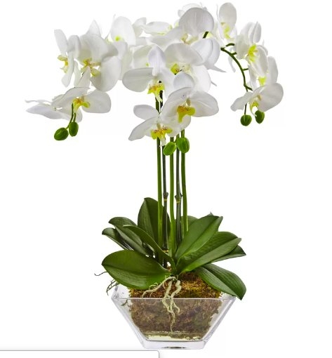 Triple Phalaenopsis Orchid Floral Arrangements in Decorative Vase - Image 0