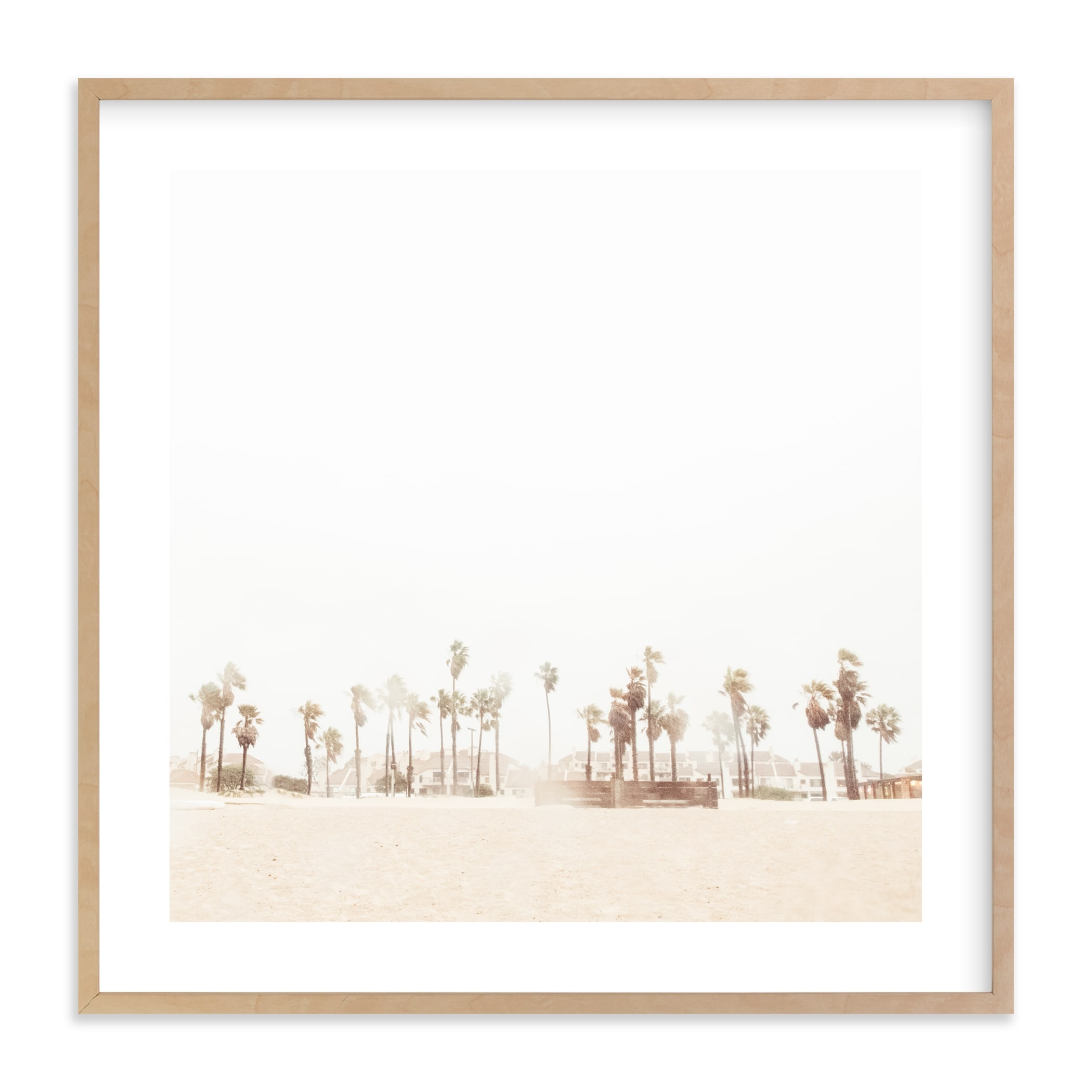 Stormy Palms with white border - Image 0