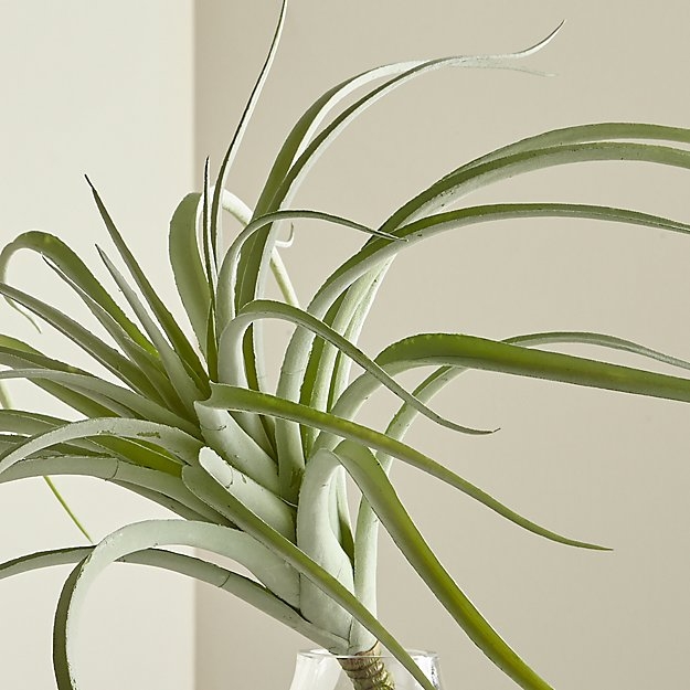 Tillandsia Grey Faux Succulent Stem - Image 0