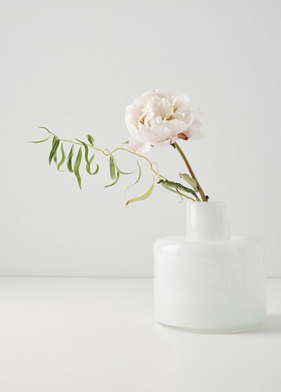 Sunset Vase By Anthropologie in White - Image 0