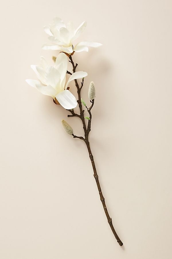 Magnolia Stem - Image 0