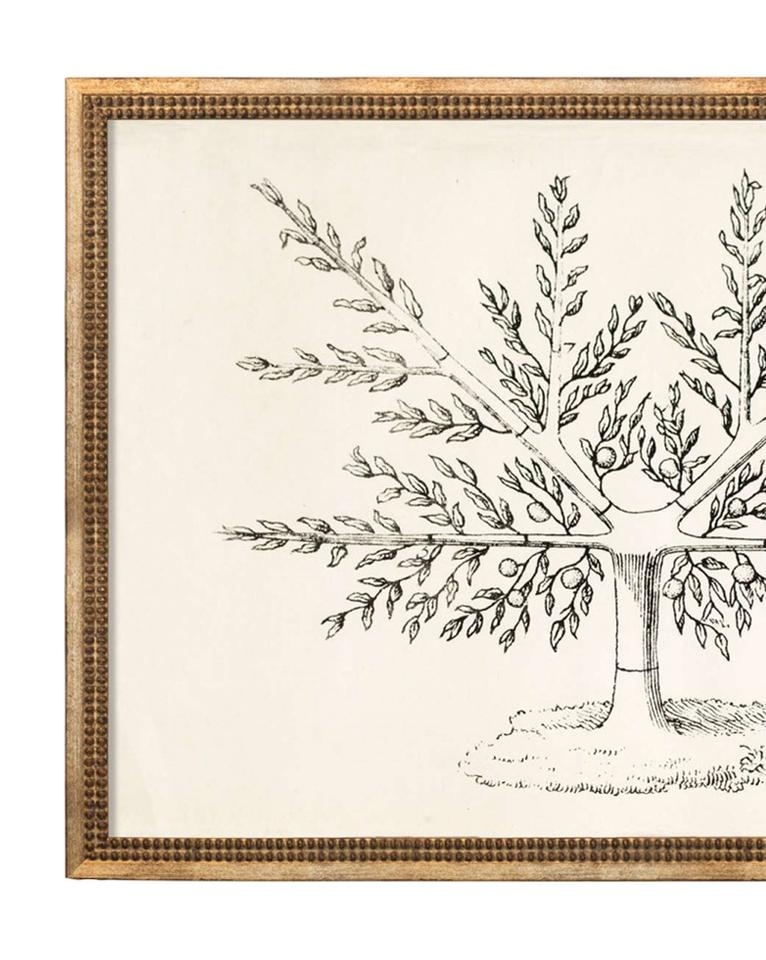 FRUIT TREE Unframed Art - Image 1