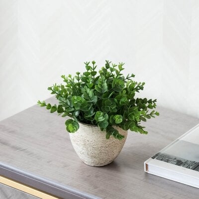 5'' Artificial Succulent Plant in Pot - Image 0