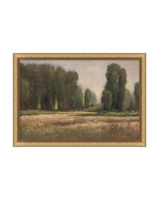Field in Summer - Image 0