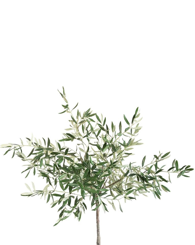 FAUX POTTED OLIVE TREE, 69" - Image 1