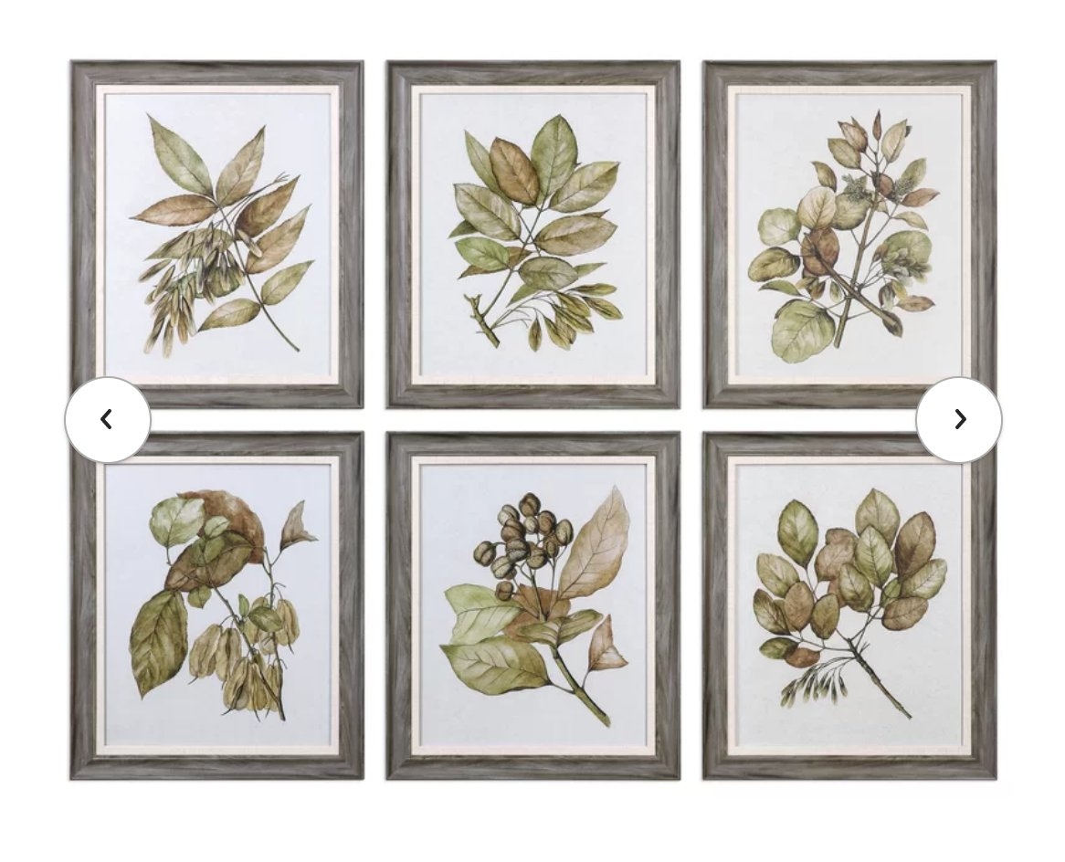 Seedlings 6 Piece Framed Graphic Art Set - Image 3