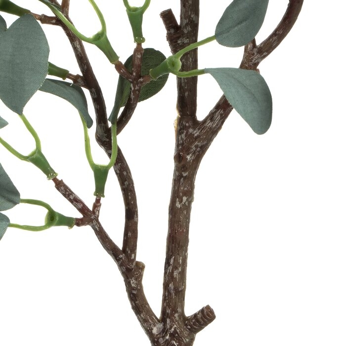 Eucalyptus Spray (Set of 3) - Image 1