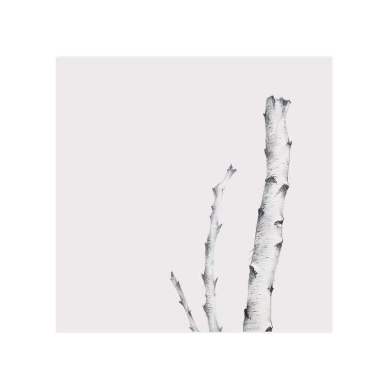 Birch - Unframed Print - Image 0