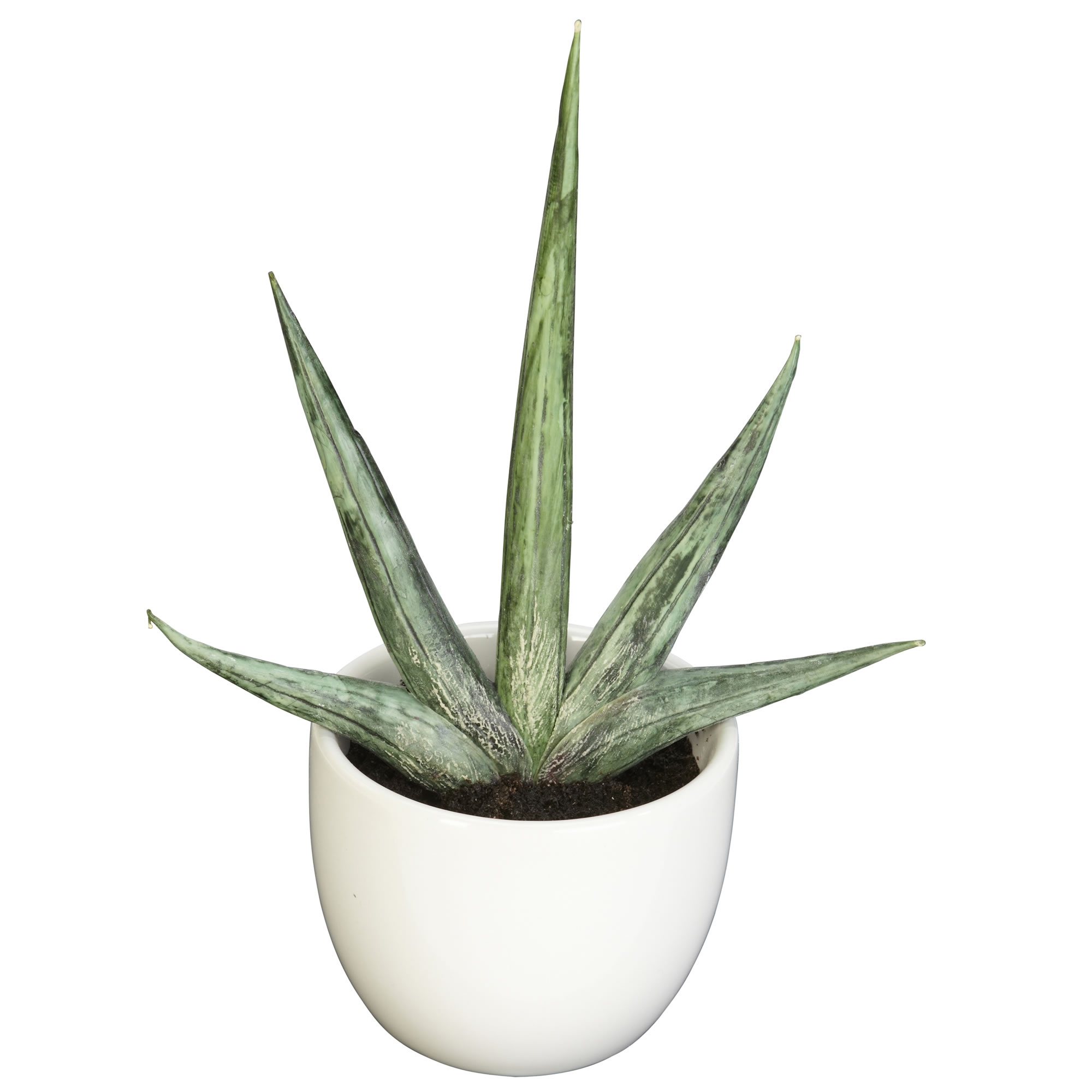Faux Potted Succulent Collection, Set of 3 - Image 2