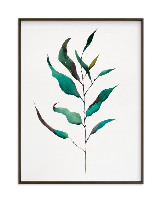 Eucalyptus Foliage Limited Edition Fine Art Print - Image 1